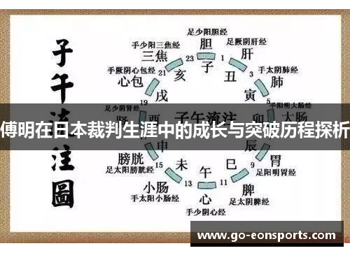 傅明在日本裁判生涯中的成长与突破历程探析 傅明在日本裁判生涯中的成长与突破历程探析