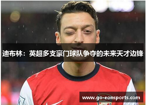 迪布林:英超多支豪门球队争夺的未来天才边锋 迪布林:英超多支豪门球队争夺的未来天才边锋